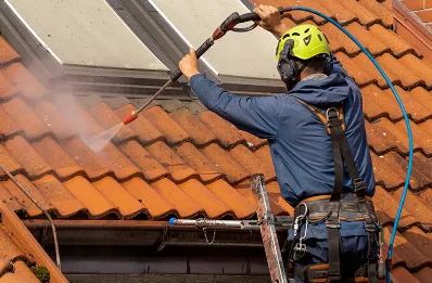 Démoussage et hydrofuge de toiture à Liouc